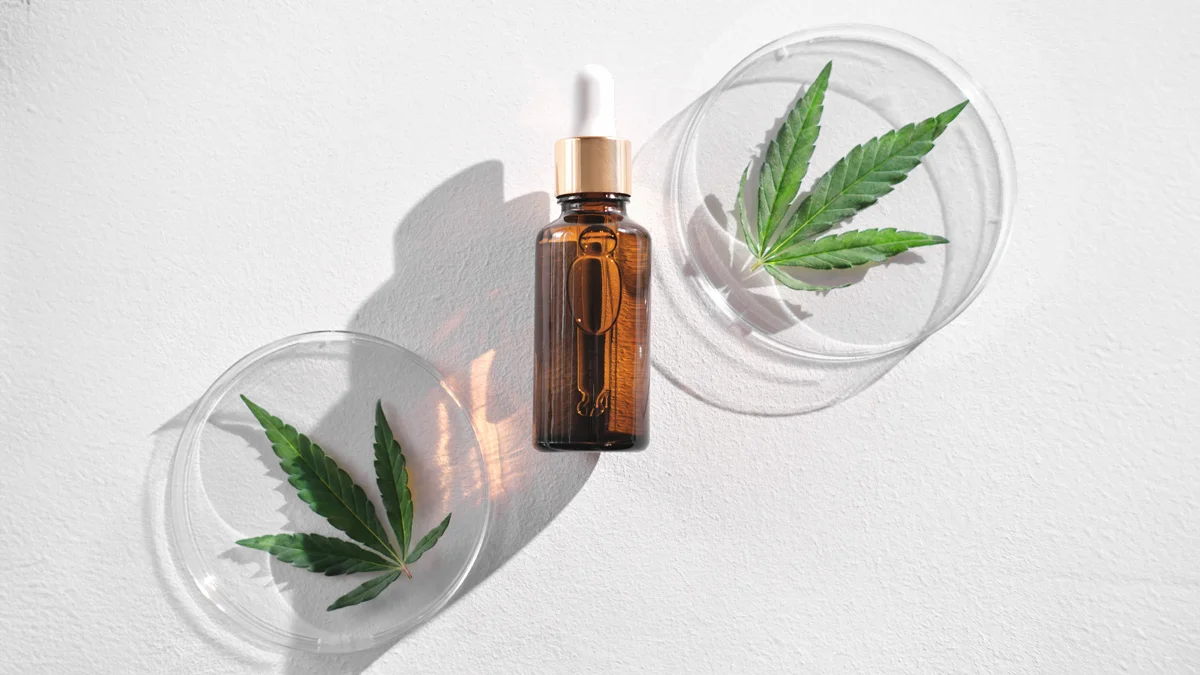 Business Leader industry report: The UK’s cannabis/CBD market