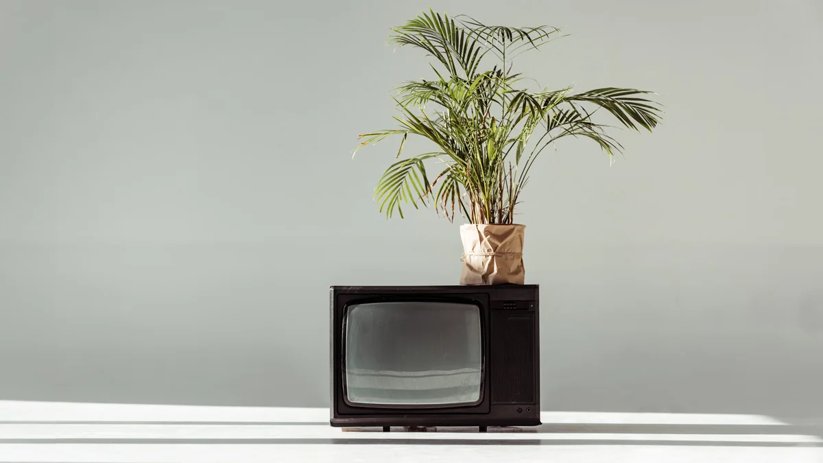 ‘Netflix for green content’ opens new Bristol office