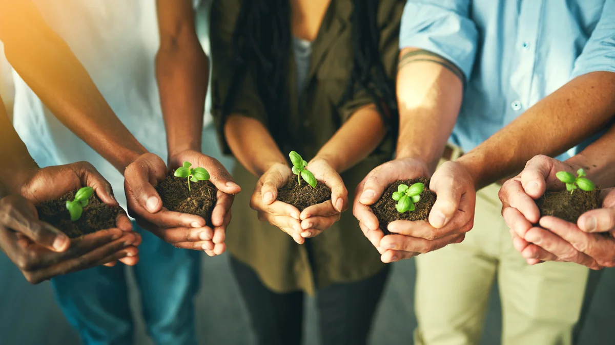 CSR: The role of businesses in the wider community
