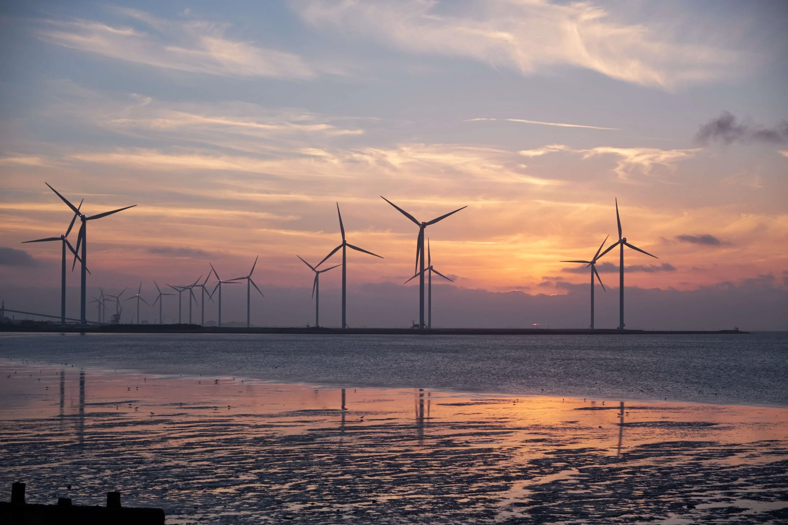 25 sustainable UK companies that are out to save the planet