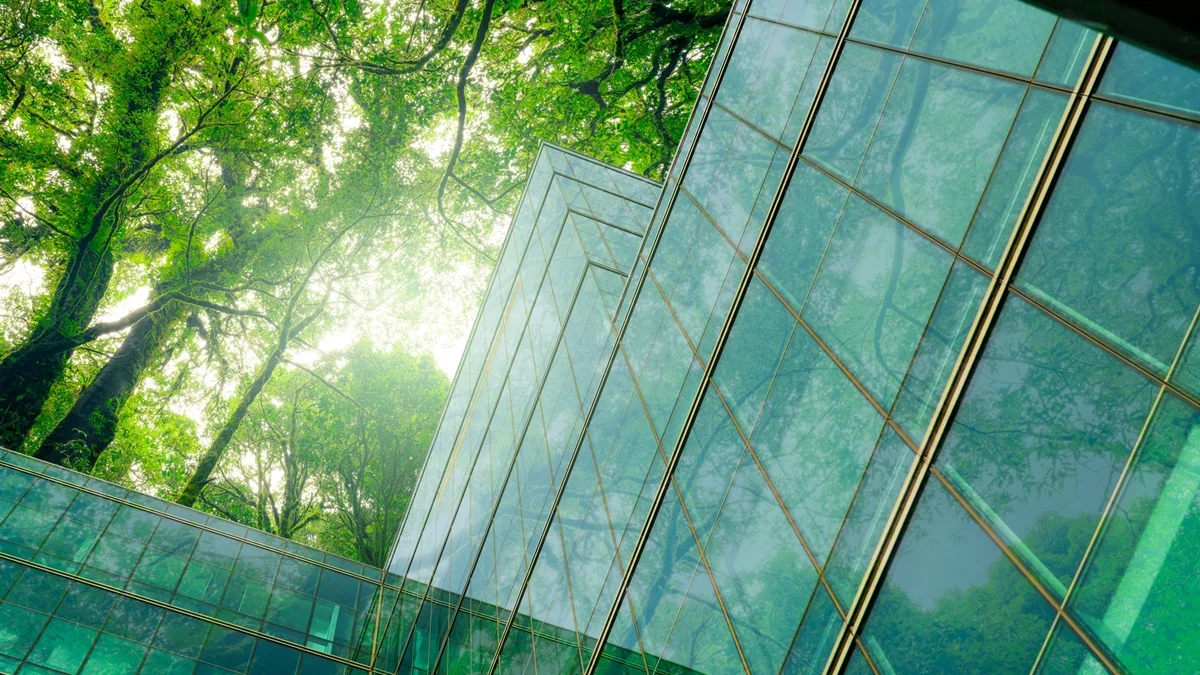 The net-zero transition: A 3-point plan for smaller businesses
