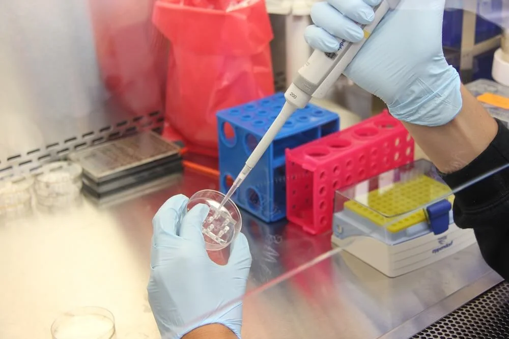 Cultured meat market predicted to be worth $13.7bn by 2043